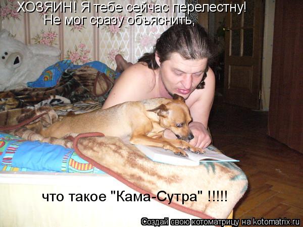 Котоматрица: ХОЗЯИН! Я тебе сейчас перелестну! Не мог сразу объяснить,  что такое "Кама-Сутра" !!!!!