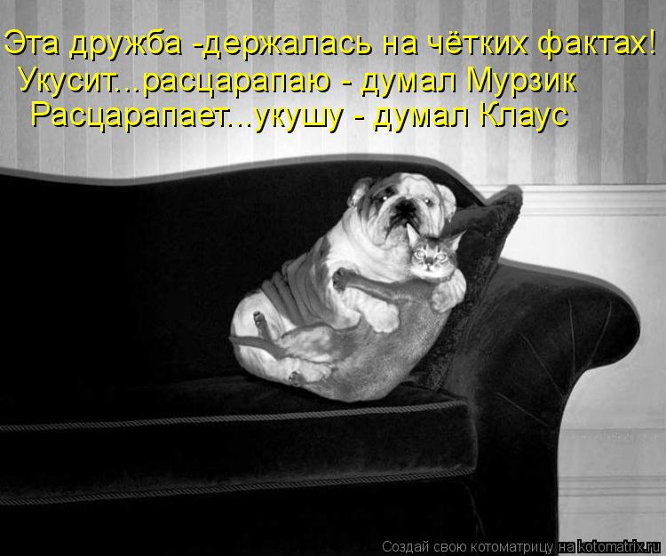 Расцарапает...укушу - думал Клаус Укусит...расцарапаю - думал Мурзик Эта дружба -держалась на чётких ... Котоматрица: Расцарапает...укушу - думал Клаус Укусит...расцарапаю - думал Мурзик Эта дружба -держалась на чётких фактах!