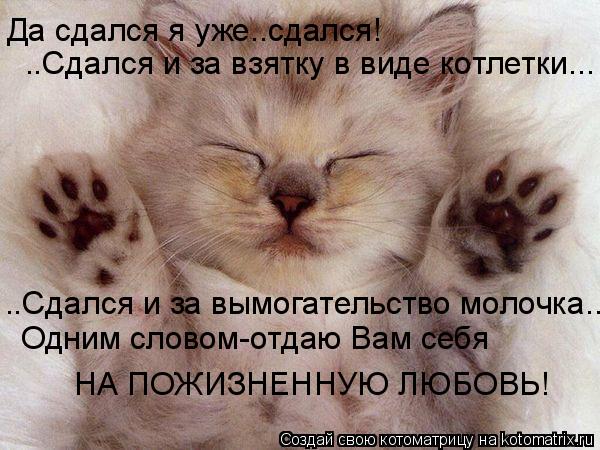Котоматрица: Да сдался я уже..сдался! ..Сдался и за взятку в виде котлетки... ..Сдался и за вымогательство молочка... Одним словом-отдаю Вам себя  НА ПОЖИЗНЕН