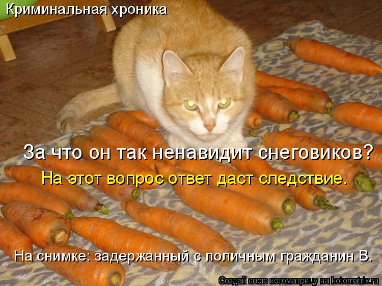 За что он так ненавидит снеговиков? На этот вопрос ответ даст следствие. На снимке: задержанный с пол... Котоматрица: За что он так ненавидит снеговиков? На этот вопрос ответ даст следствие. На снимке: задержанный с поличным гражданин В. Криминальная хроник