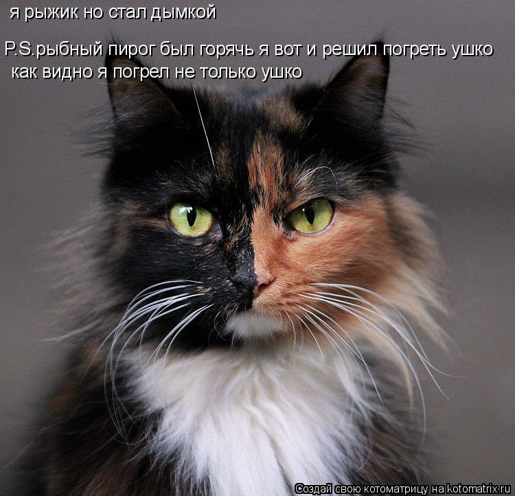 Котоматрица: я рыжик но стал дымкой  P.S.рыбный пирог был горячь я вот и решил погреть ушко как видно я погрел не только ушко