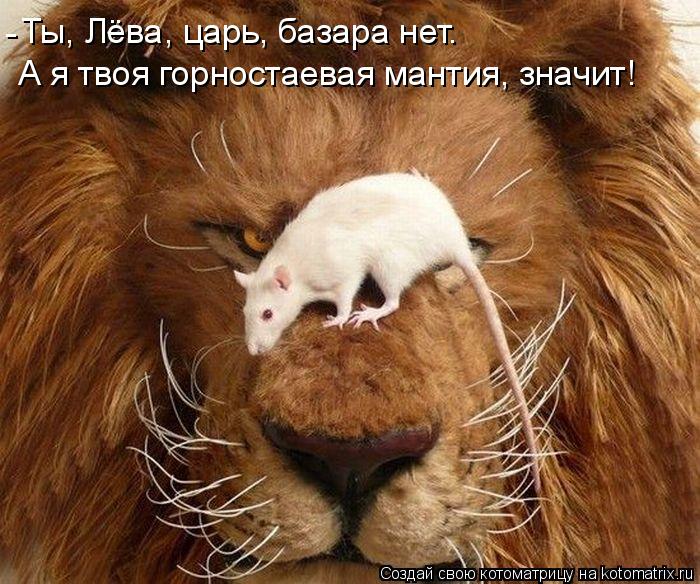 Котоматрица: Ты, Лёва, царь, базара нет.  А я твоя горностаевая мантия, значит! -