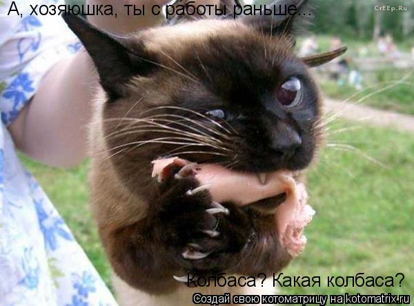 А, хозяюшка, ты с работы раньше... Колбаса? Какая колбаса?... Котоматрица: А, хозяюшка, ты с работы раньше... Колбаса? Какая колбаса?