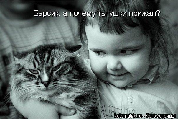Котоматрица: Барсик, а почему ты ушки прижал?