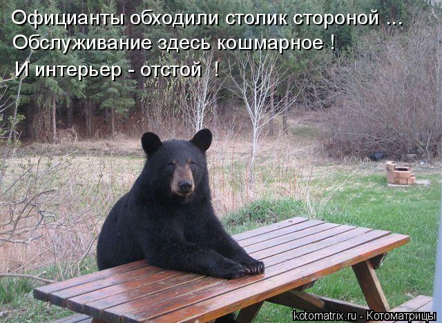 Котоматрица: Обслуживание здесь кошмарное ! И интерьер - отстой  ! Официанты обходили столик стороной ...