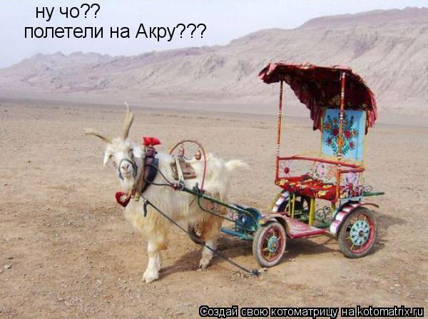 Котоматрица: ну чо?? полетели на Акру???