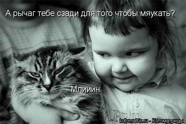 Котоматрица: А рычаг тебе сзади для того чтобы мяукать? Млииин
