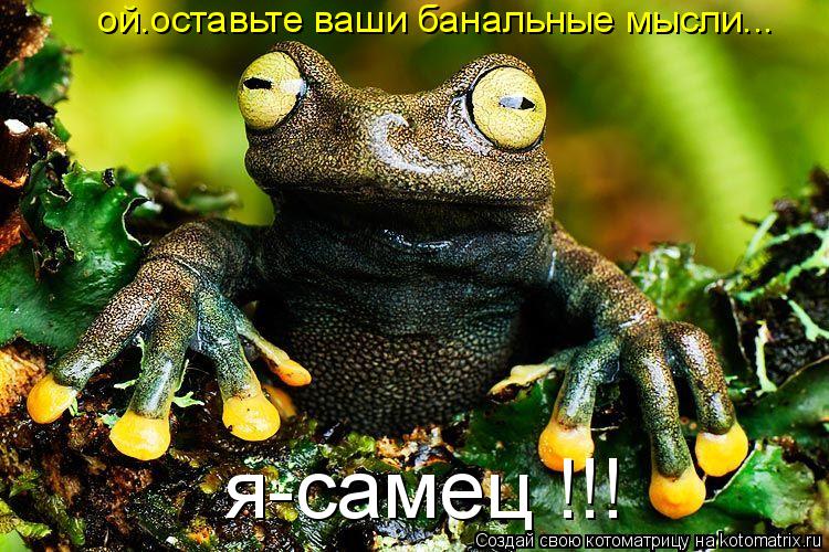 ой.оставьте ваши банальные мысли... я-самец !!!... Котоматрица: ой.оставьте ваши банальные мысли... я-самец !!!