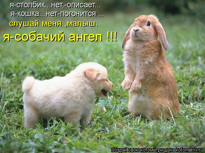 я-столбик...нет,-описает... я-кошка...нет-погонится ... слушай меня ,малыш. я-собачий ангел !!!... Котоматрица: я-столбик...нет,-описает... я-кошка...нет-погонится ... слушай меня ,малыш. я-собачий ангел !!!