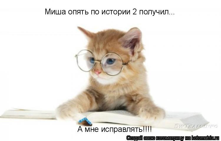 Миша опять по истории 2 получил... А мне исправлять!!!!... Котоматрица: Миша опять по истории 2 получил... А мне исправлять!!!!