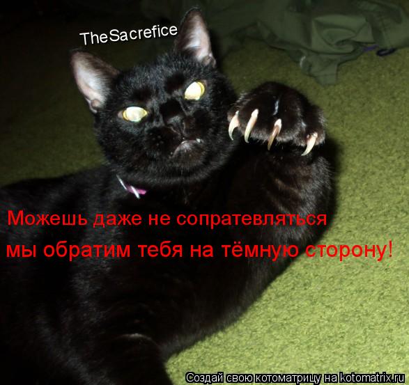 Котоматрица: TheSacrefice мы обратим тебя на тёмную сторону! Можешь даже не сопратевляться