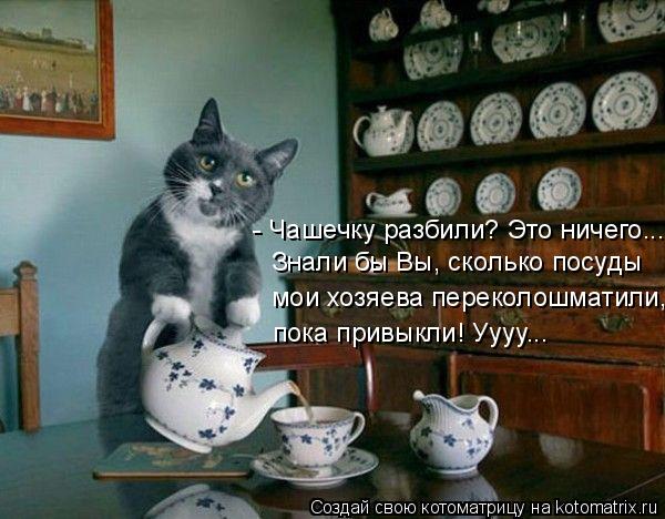 - Чашечку разбили? Это ничего... Знали бы Вы, сколько посуды мои хозяева переколошматили, пока привы... Котоматрица: - Чашечку разбили? Это ничего... Знали бы Вы, сколько посуды мои хозяева переколошматили, пока привыкли! Уууу...