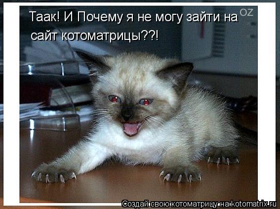 Котоматрица: Таак! И Почему я не могу зайти на  сайт котоматрицы??!