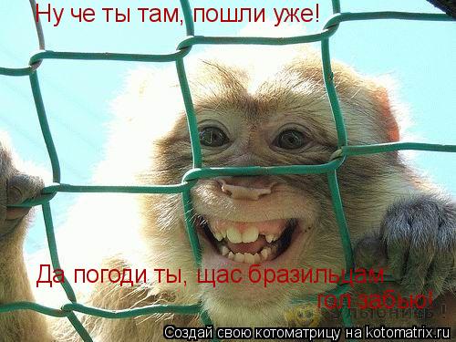 Котоматрица: Ну че ты там, пошли уже! Да погоди ты, щас бразильцам  гол забью!