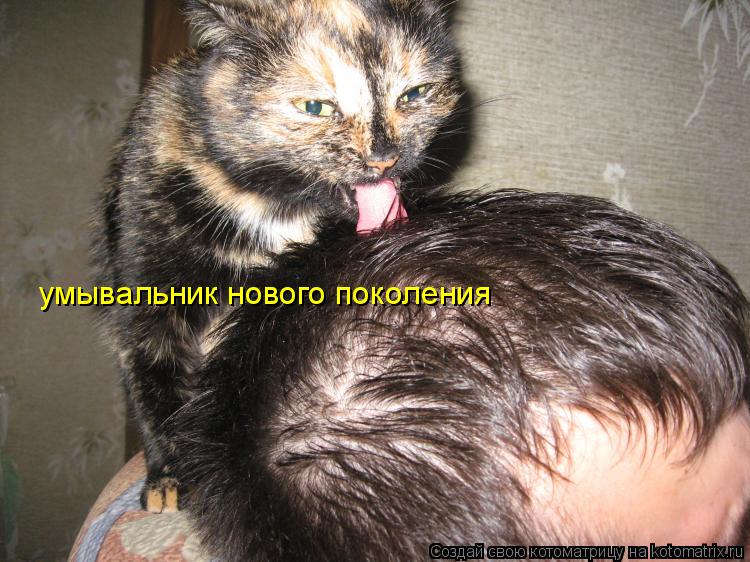 Котоматрица: умывальник нового поколения