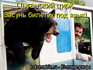 Котоматрица: Цыганский цирк Засунь билетик под язык!