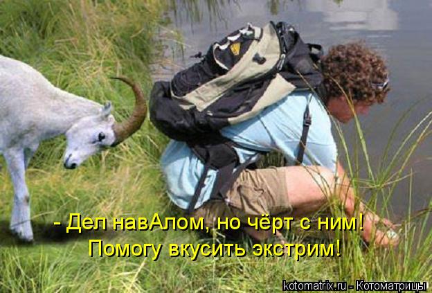 - Дел навАлом, но чёрт с ним! Помогу вкусить экстрим!... Котоматрица: - Дел навАлом, но чёрт с ним! Помогу вкусить экстрим!