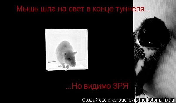 Котоматрица: ...Но видимо ЗРЯ Мышь шла на свет в конце туннеля...