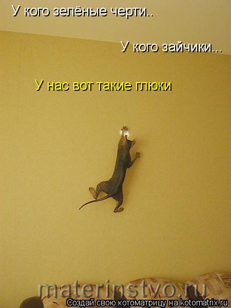 Котоматрица: У кого зелёные черти.. У кого зайчики... У нас вот такие глюки