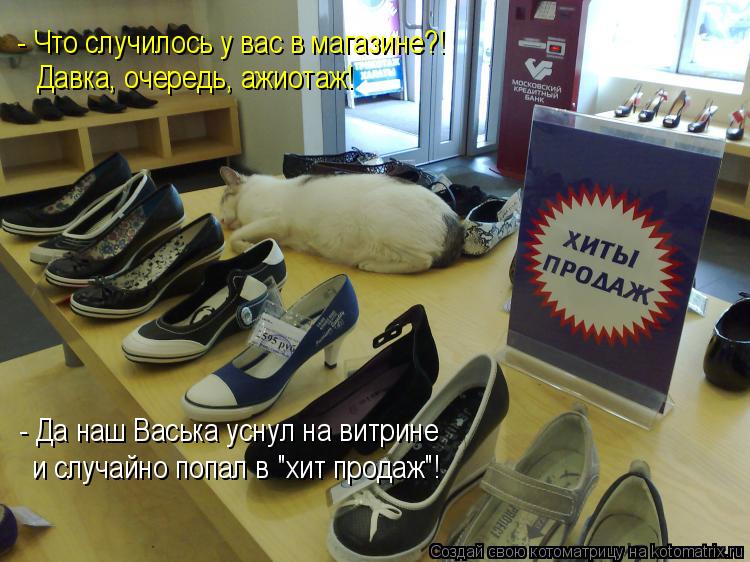- Что случилось у вас в магазине?! Давка, очередь, ажиотаж! - Да наш Васька уснул на витрине и случай... Котоматрица: - Что случилось у вас в магазине?! Давка, очередь, ажиотаж! - Да наш Васька уснул на витрине и случайно попал в "хит продаж"!
