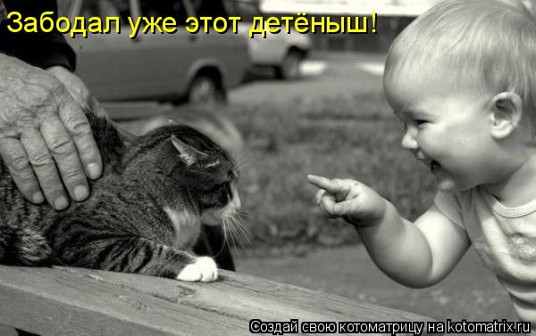 Забодал уже этот детёныш!... Котоматрица: Забодал уже этот детёныш!