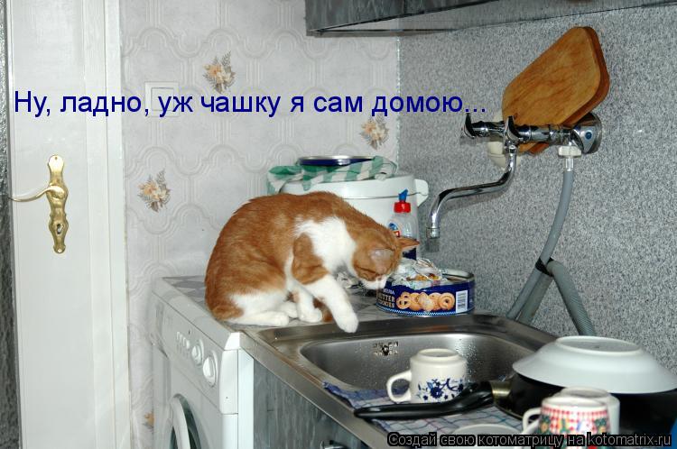Котоматрица: Ну, ладно, уж чашку я сам домою...