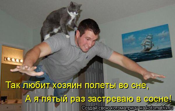 Так любит хозяин полеты во сне, А я пятый раз застреваю в сосне!... Котоматрица: Так любит хозяин полеты во сне, А я пятый раз застреваю в сосне!