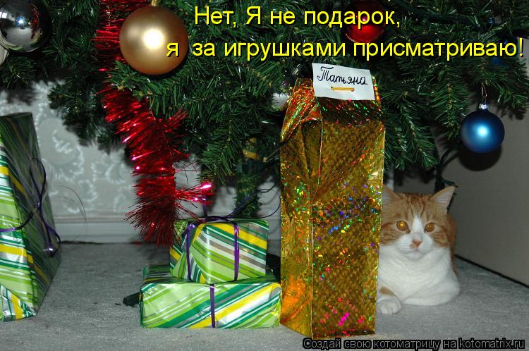 Котоматрица: Нет, Я не подарок, я  за игрушками присматриваю!