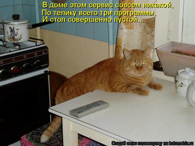 В доме этом сервис совсем никакой, И стол совершенно пустой... По телику всего три программы,... Котоматрица: В доме этом сервис совсем никакой, И стол совершенно пустой... По телику всего три программы,