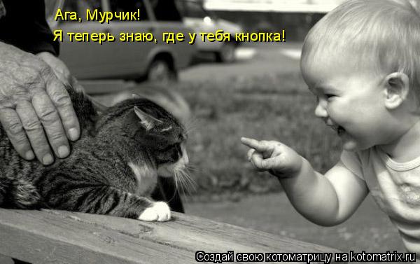 Ага, Мурчик! Я теперь знаю, где у тебя кнопка!... Котоматрица: Ага, Мурчик! Я теперь знаю, где у тебя кнопка!