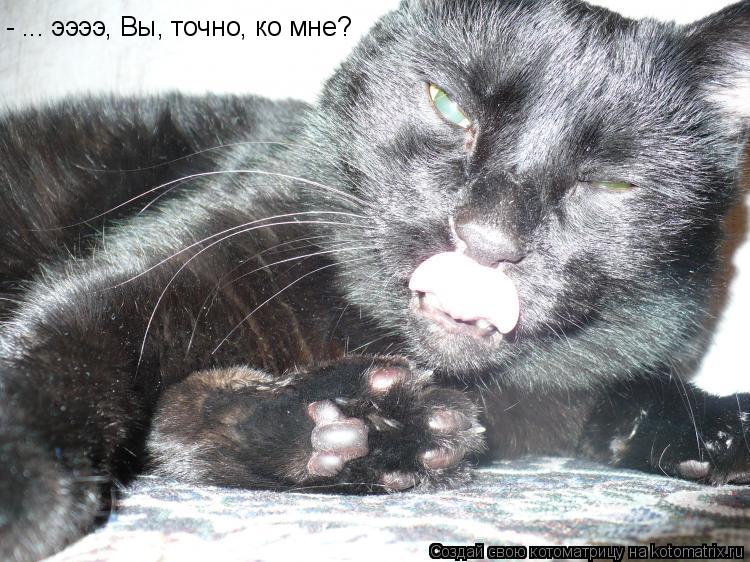 Котоматрица: - ... ээээ, Вы, точно, ко мне?