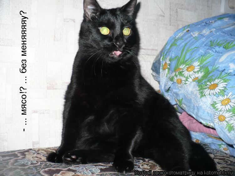Котоматрица: - ... мясо!? ... без меняяяяу?