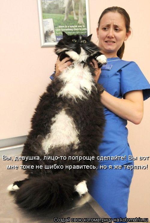 Котоматрица: Вы, девушка, лицо-то попроще сделайте! Вы вот  мне тоже не шибко нравитесь, но я же терплю!