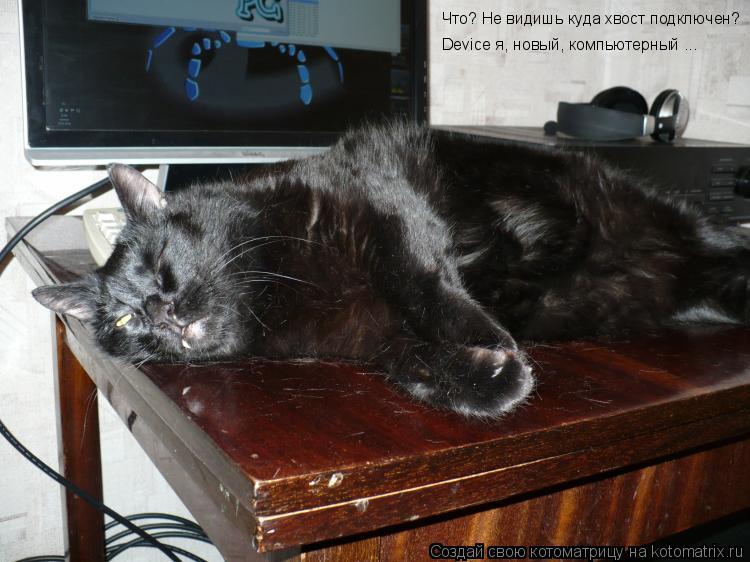 Котоматрица: Что? Не видишь куда хвост подключен? Device я, новый, компьютерный ...