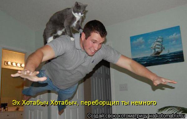 Котоматрица: Эх Хотабыч Хотабыч, переборщил ты немного
