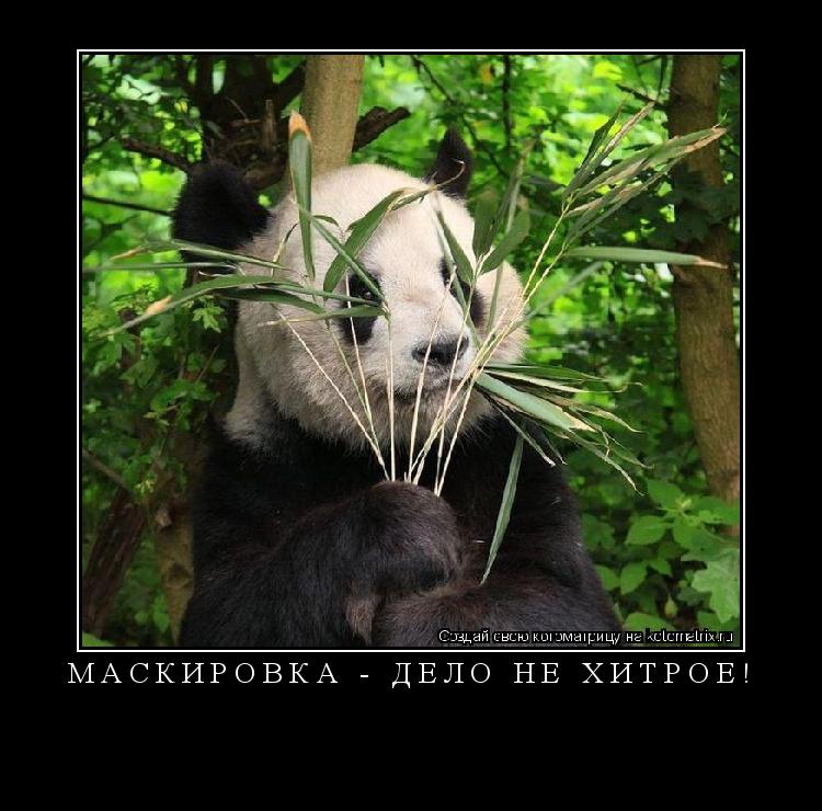 Котоматрица: Маскировка - дело не хитрое! 