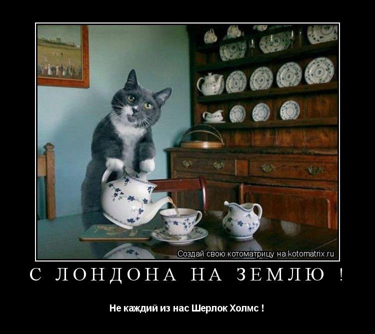 Котоматрица: С Лондона на землю ! Не каждий из нас Шерлок Холмс !