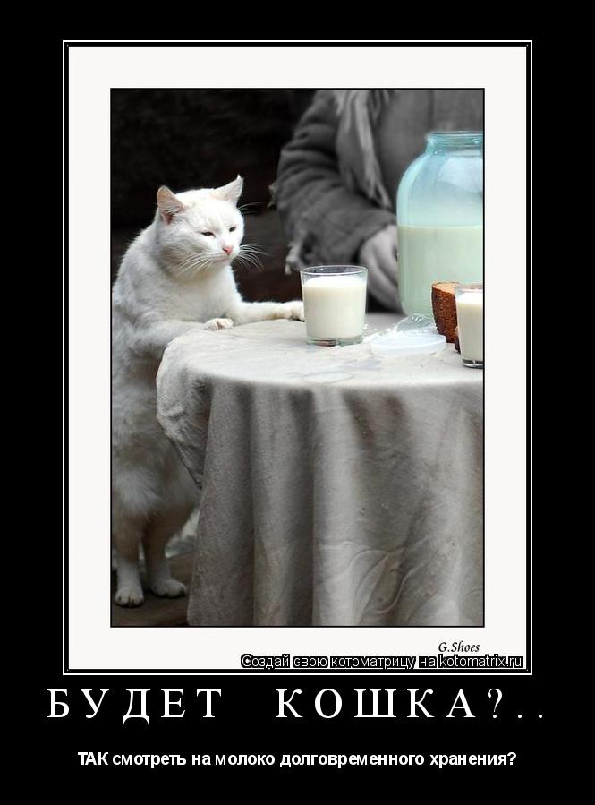 Будет кошка?.. ТАК смотреть на молоко долговременного хранения?... Котоматрица: Будет кошка?.. ТАК смотреть на молоко долговременного хранения?