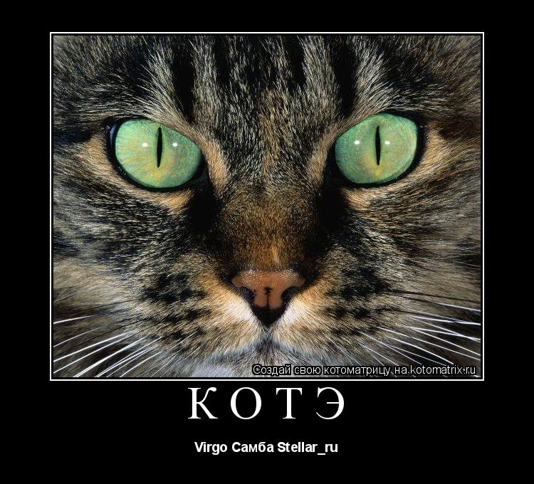 КОТЭ Virgo Самба Stellar_ru... Котоматрица: КОТЭ Virgo Самба Stellar_ru