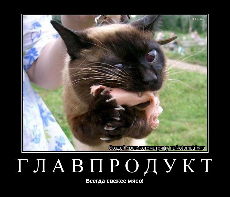 Котоматрица: Главпродукт Всегда свежее мясо!