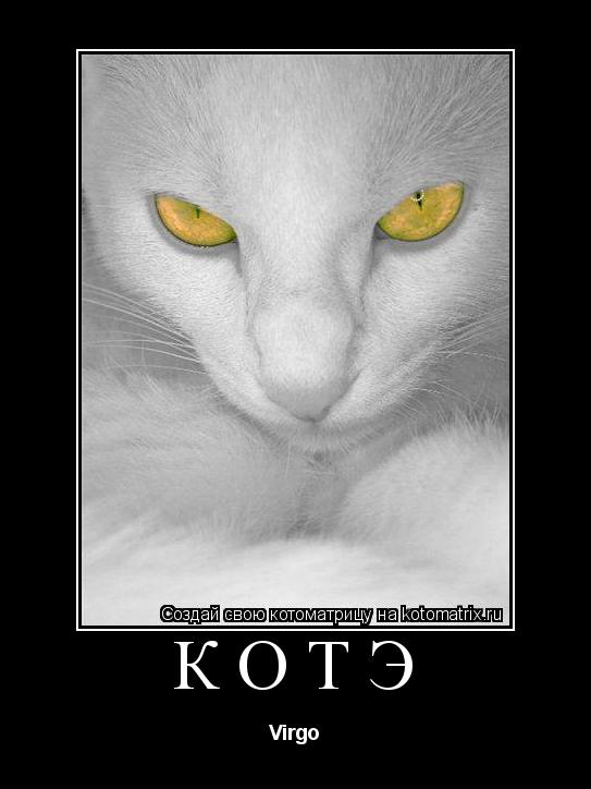 КОТЭ Virgo... Котоматрица: КОТЭ Virgo