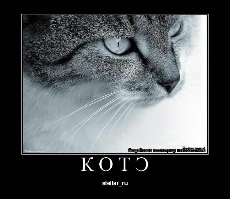КОТЭ stellar_ru... Котоматрица: КОТЭ stellar_ru