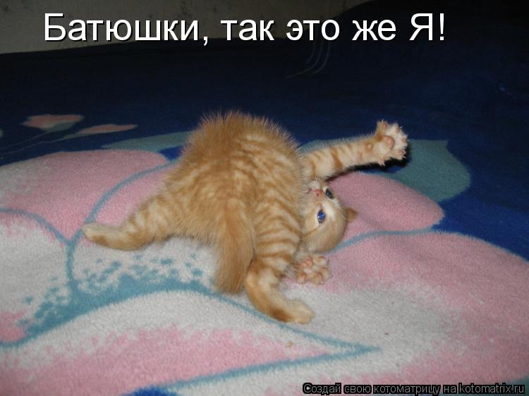 Батюшки, так это же Я!... Котоматрица: Батюшки, так это же Я!