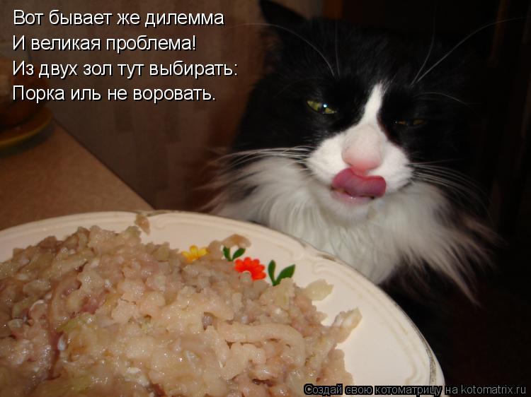 Вот бывает же дилемма И великая проблема! Из двух зол тут выбирать: Порка иль не воровать.... Котоматрица: Вот бывает же дилемма И великая проблема! Из двух зол тут выбирать: Порка иль не воровать.