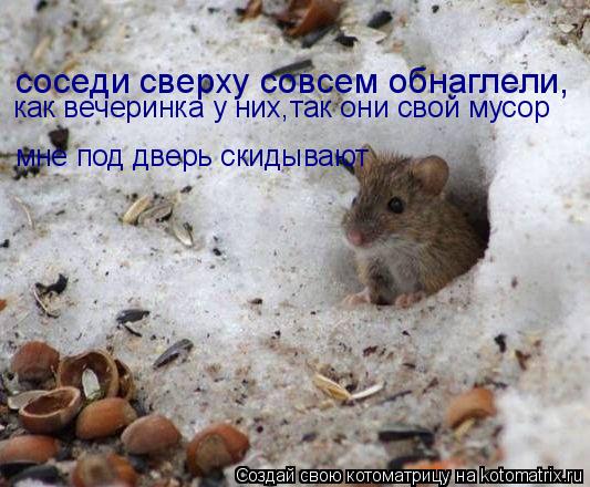 Котоматрица: соседи сверху совсем обнаглели, как вечеринка у них,так они свой мусор  мне под дверь скидывают