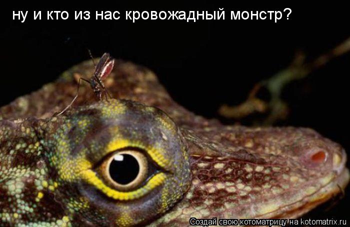 Котоматрица: ну и кто из нас кровожадный монстр?