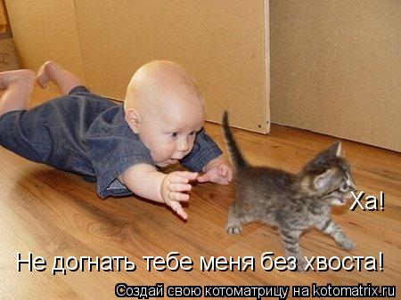 Котоматрица: Ха! Не догнать тебе меня без хвоста!