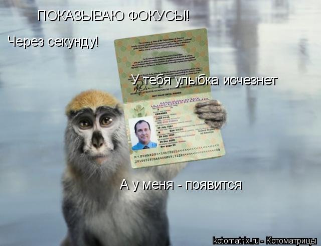 Котоматрица: ПОКАЗЫВАЮ ФОКУСЫ! Через секунду! У тебя улыбка исчезнет А у меня - появится