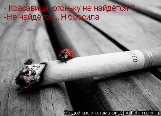 Котоматрица: - Красавица, огоньку не найдётся ? -Не найдётся...Я бросила