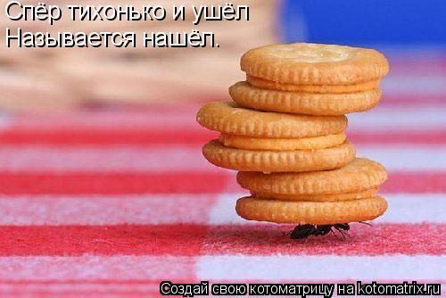 Котоматрица: Спёр тихонько и ушёл Называется нашёл.
